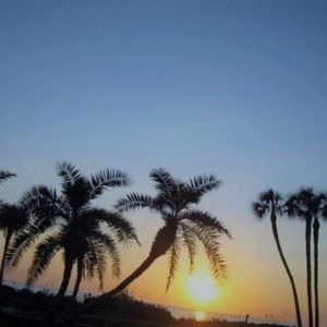 Meet your Posher, Michele